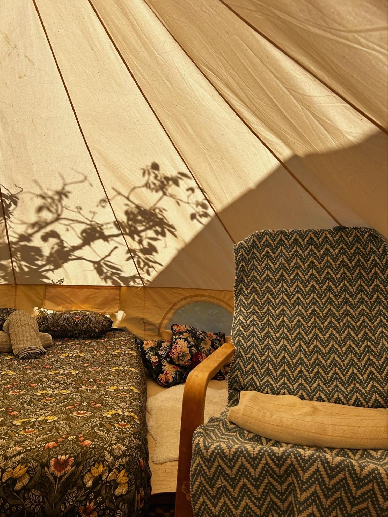 Yurt In Avocado Garden Hotel Güimar Exterior foto