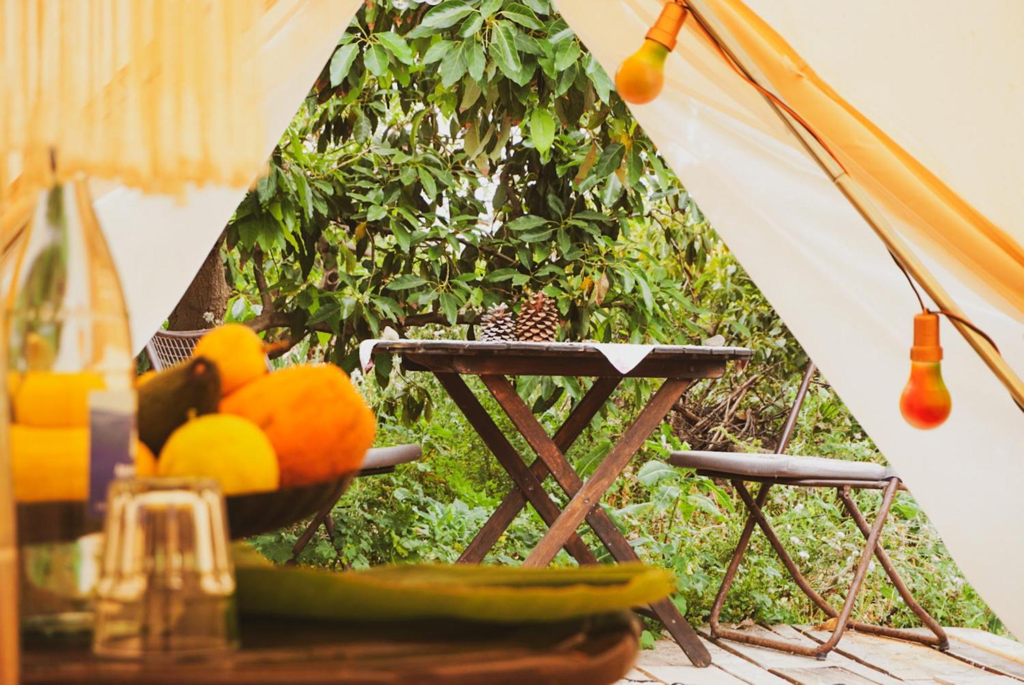 Yurt In Avocado Garden Hotel Güimar Exterior foto