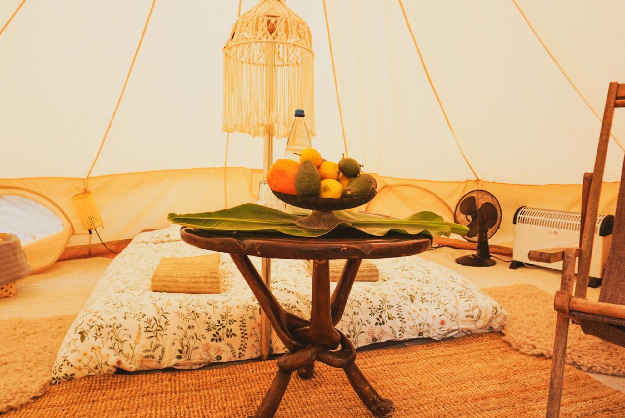 Yurt In Avocado Garden Hotel Güimar Exterior foto